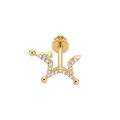Kutup Yıldızı Pave Tragus